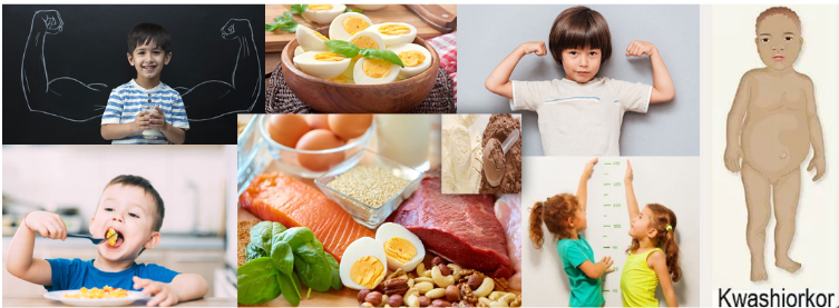 Protein rich food for kids