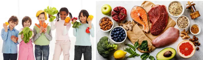 The Nutritional Guideline for Children's Health