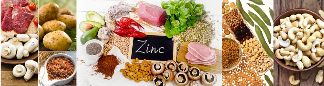 food rich in zinc