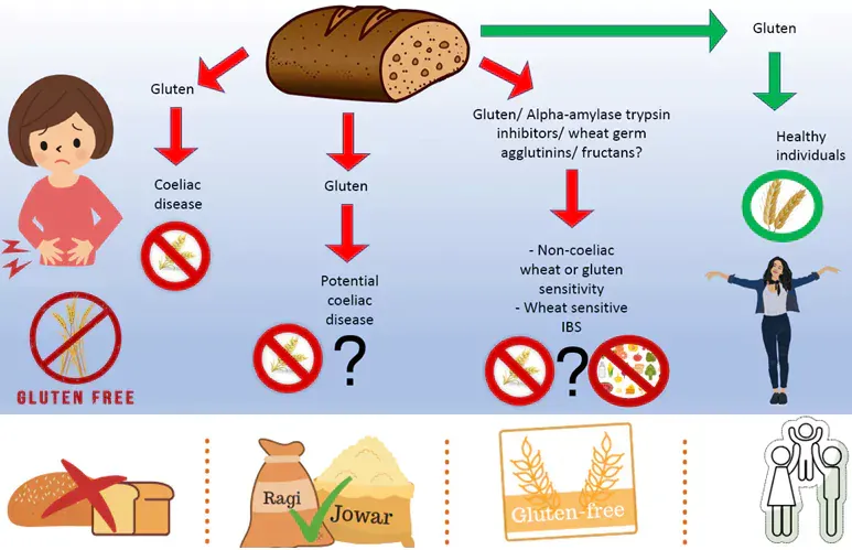 Managing Celiac Disease in Kids: A Guide to Gluten-Free Diets and Lifestyle Changes