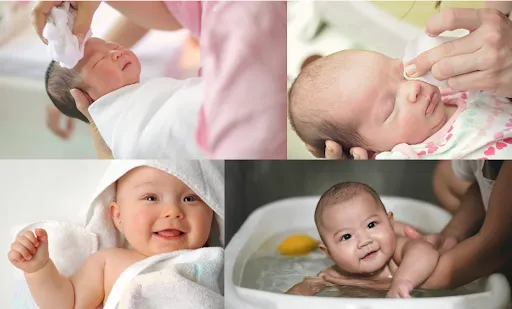 When Can Babies Eat Paratha